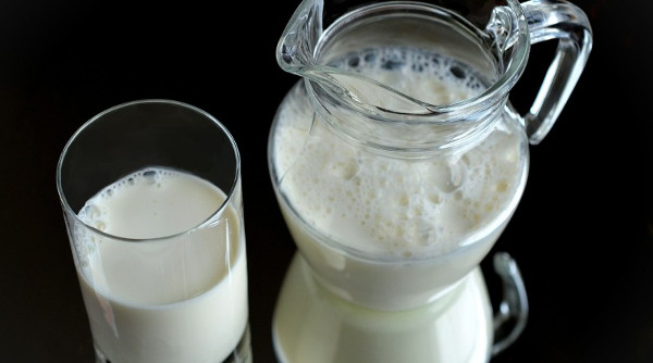 Бизнес идея: торговля молочной продукцией оптом