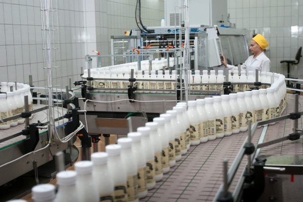Бизнес-план: заработок на производстве молочных продуктов
